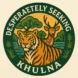 khulnainsights.com